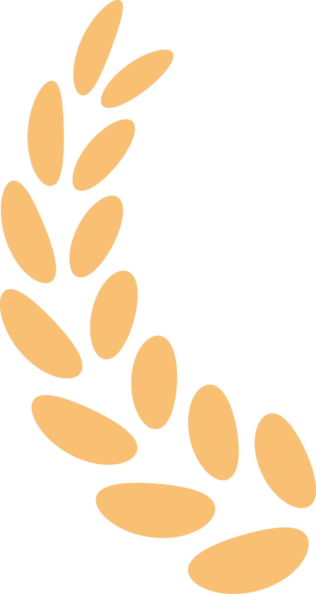 明天深圳又发钱<strong></p>
<p>火币app下载</strong>，送你一份攻略