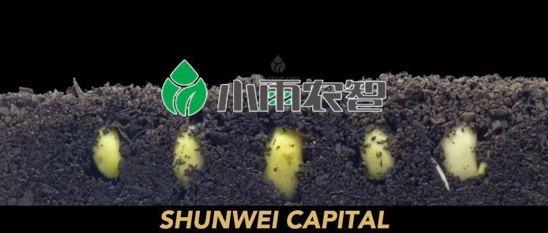 「小雨农智」获顺为投资数千万人民币A轮融资<strong></p>
<p>可币网</strong>，农业物联网企业前景可期