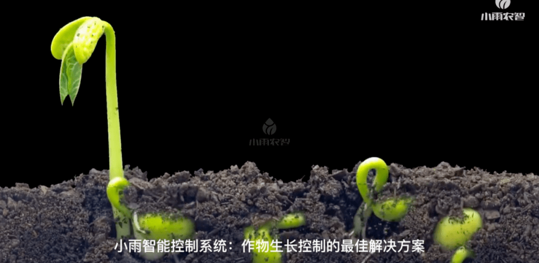 「小雨农智」获顺为投资数千万人民币A轮融资<strong></p>
<p>可币网</strong>，农业物联网企业前景可期