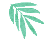 大参林数币满减福利<strong></p>
<p>币满</strong>，陪您度过炎炎夏日！