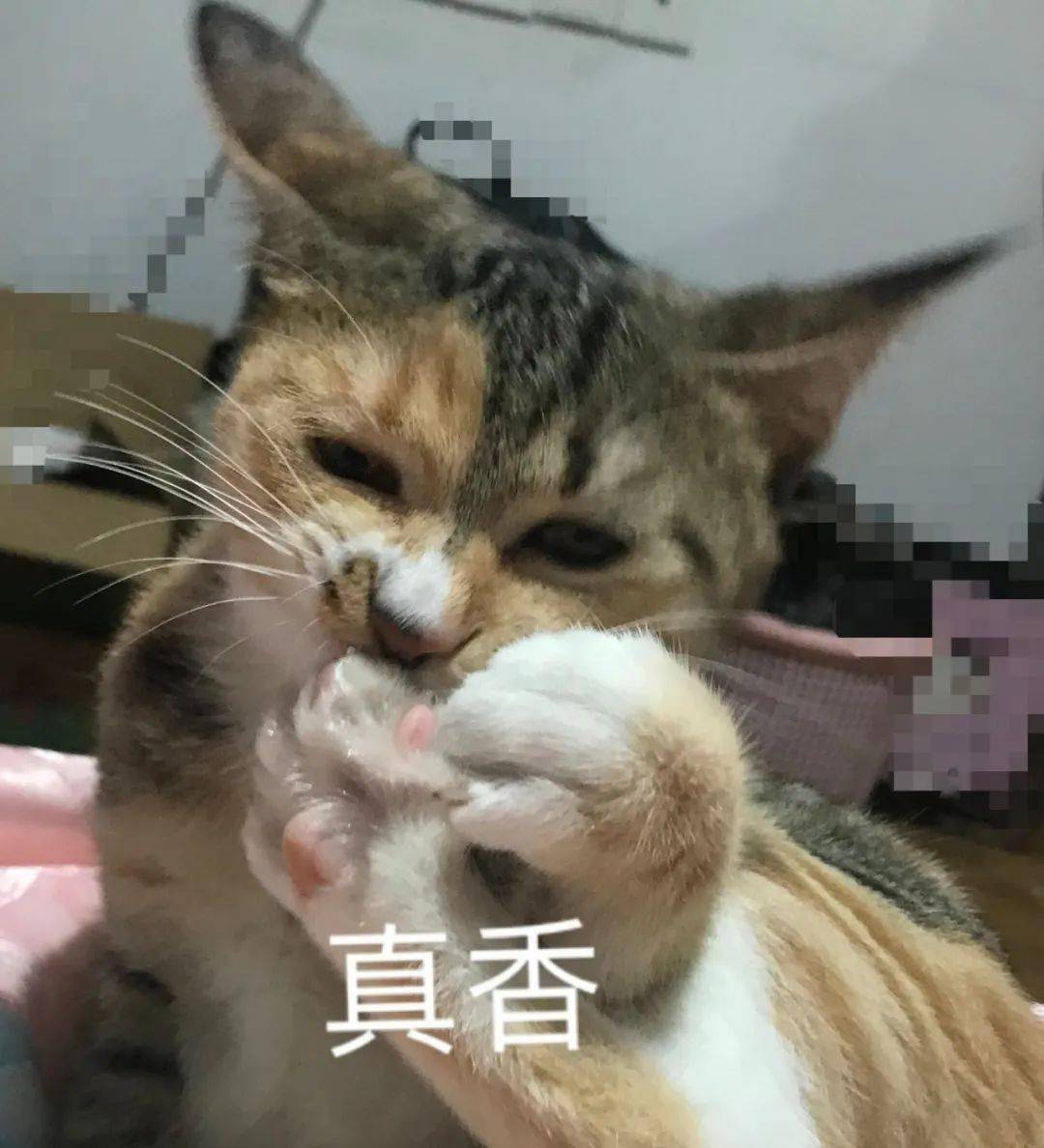 100元红包<strong></p>
<p>币满</strong>！使用无需满减！宁波又一地发放数字人民币红包啦！
