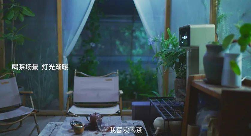 三翼鸟：线下的“家”<strong></p>
<p>币加鸟</strong>，线上的“加”