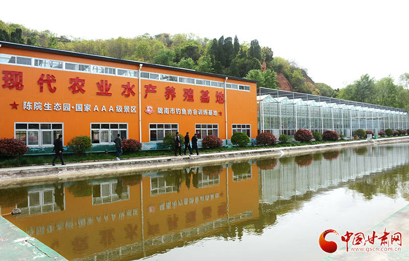 陇南成县：“绿币”出“金币”乡村振兴跑出加速度