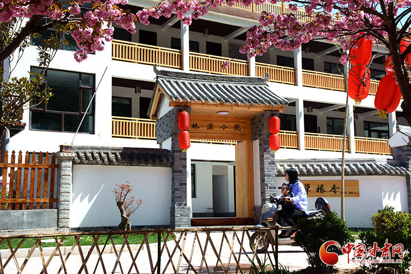 陇南成县：“绿币”出“金币”乡村振兴跑出加速度