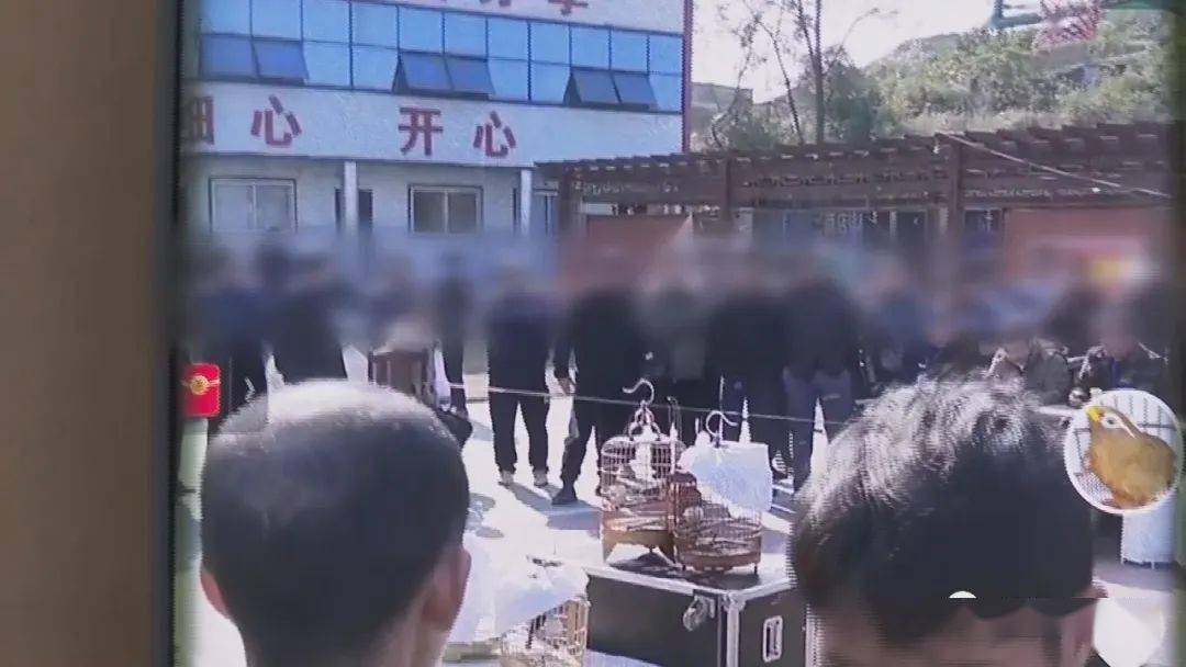 ​网络直播“画眉鸟”可可爱爱<strong></p>
<p>币加鸟</strong>？民警主动加主播为好友……