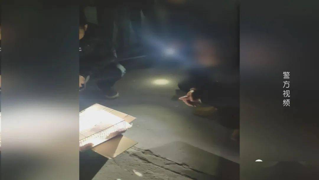 ​网络直播“画眉鸟”可可爱爱<strong></p>
<p>币加鸟</strong>？民警主动加主播为好友……