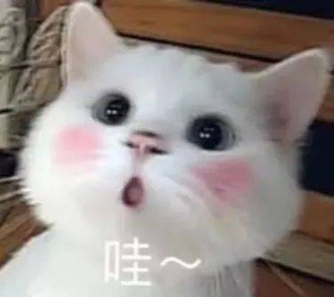实施七大行动、四大工程！罗湖未来三年计划出炉<strong></p>
<p>币巢</strong>，推动服务业高质量发展
