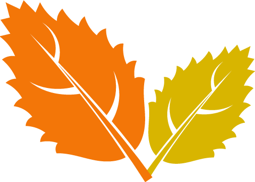 劳动教育丨今天<strong></p>
<p>币币兑换</strong>我当家——乐外小学部卓越币兑换活动