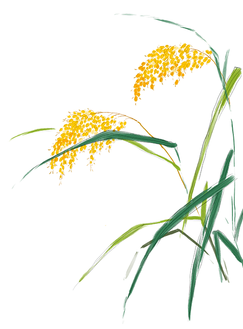 劳动教育丨今天<strong></p>
<p>币币兑换</strong>我当家——乐外小学部卓越币兑换活动