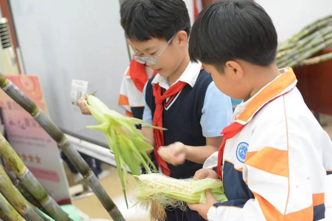 劳动教育丨今天<strong></p>
<p>币币兑换</strong>我当家——乐外小学部卓越币兑换活动