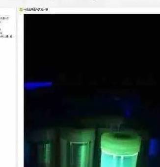 泰山币箱货现身市场