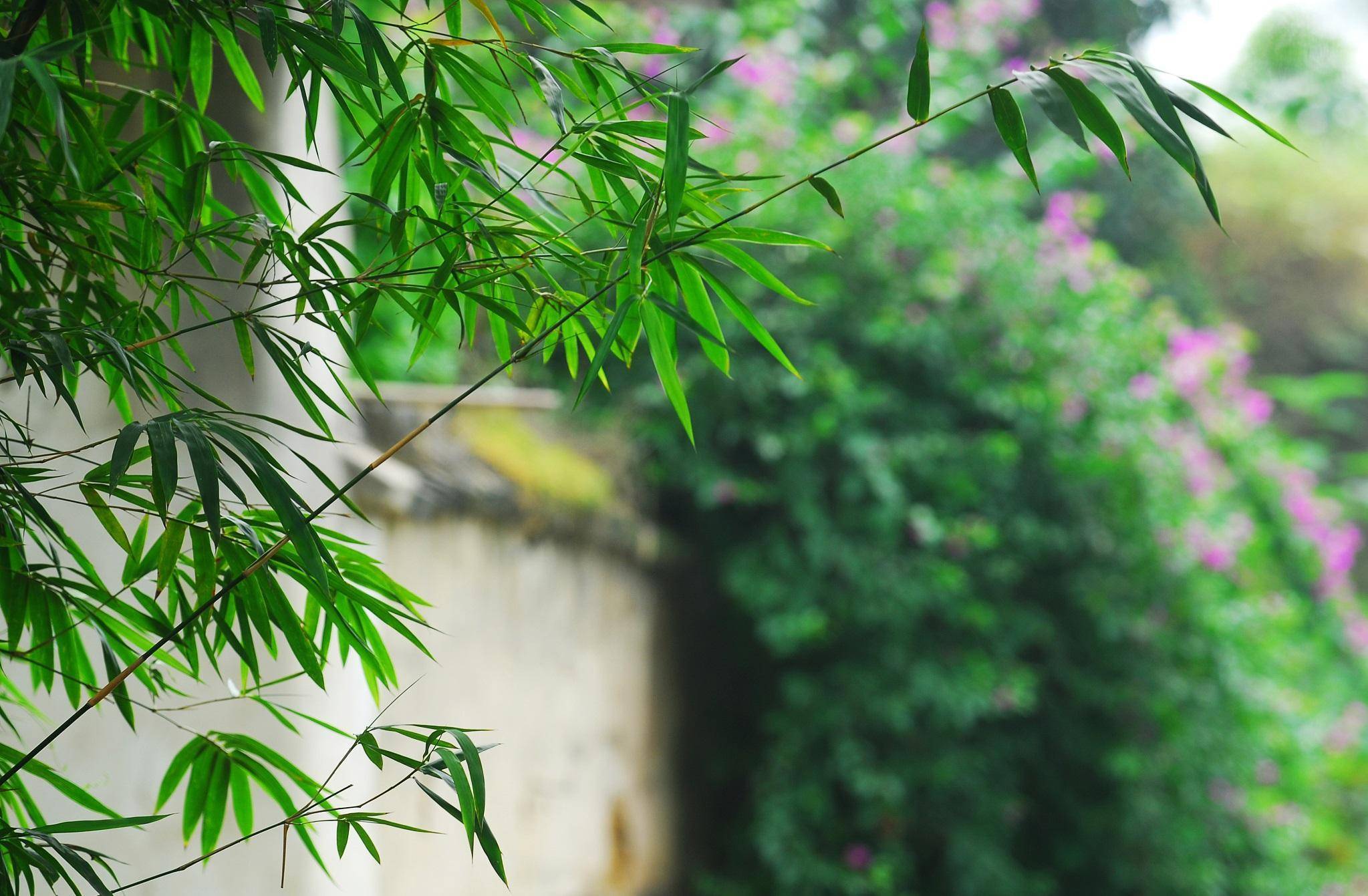小说《锅伙》（81）：贪财错用药