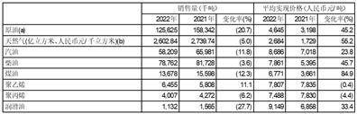 中国石油天然气股份有限公司二零二二年度业绩公告（年度报告摘要）