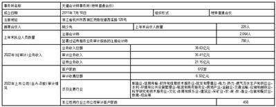新亚电子股份有限公司 关于续聘审计机构的公告
