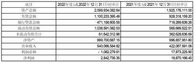 百洋产业投资集团股份有限公司 关于2023年全资子公司为上市公司 提供担保额度预计的公告