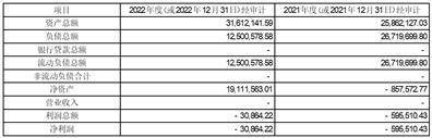百洋产业投资集团股份有限公司 关于2023年全资子公司为上市公司 提供担保额度预计的公告
