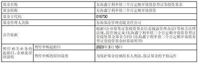 东海鑫宁利率债三个月定期开放债券型证券投资基金暂停个人投资者申购公告