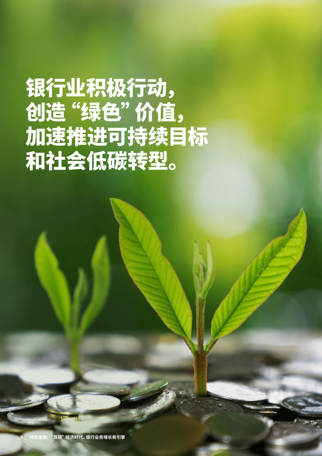 绿色金融：“双碳”经济时代<strong></p>
<p>银行业务</strong>，银行业务增长新引擎
