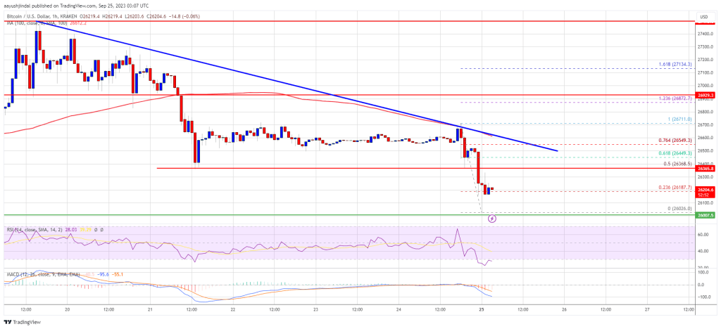 比特币价格下跌<strong></p>
<p>btc最新价格</strong>，更多的损失在BTC？