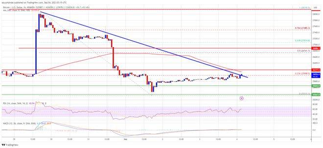 如果 BTC 未能突破 100 SMA<strong></p>
<p>btc最新价格</strong>，比特币价格的复苏可能很快就会消失
