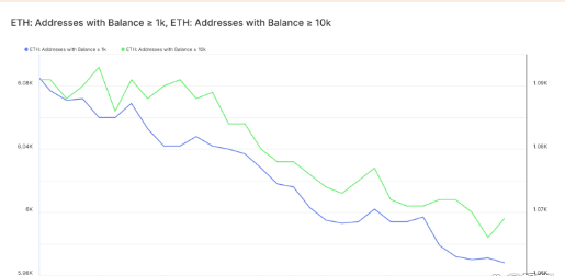 BTC的牛市即将到来<strong></p>
<p>btc交易官网</strong>，但这就是为什么交易者可能必须等待的原因
