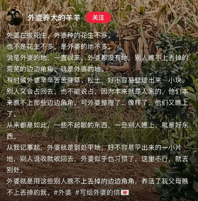 交汇点评｜“互联网文学”<strong></p>
<p>火币网</strong>，怎么火了？