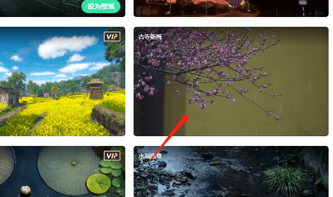 飞火动态壁纸下载到本地的方法