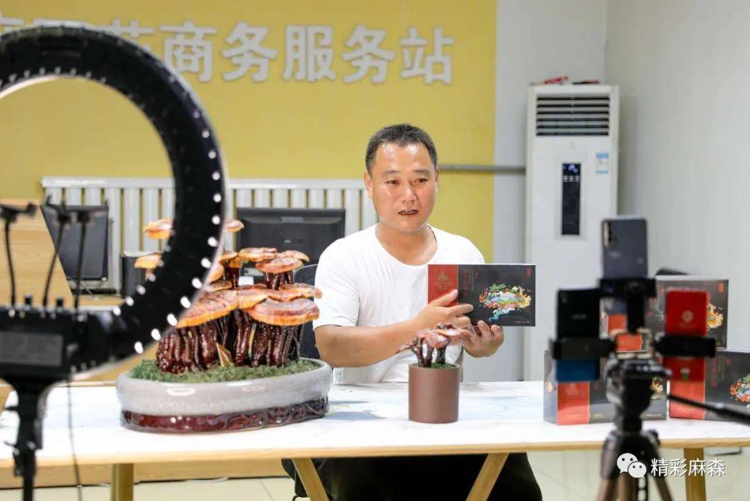 河北衡水高新区：科技创新火<strong></p>
<p>火币科技</strong>了灵芝特色种植