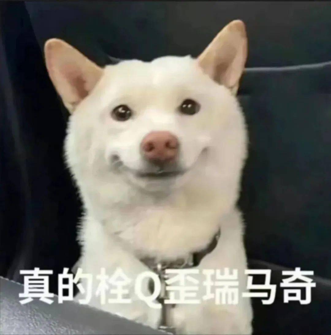 全网被嘲的“沪币”<strong></p>
<p>中币网</strong>，到底有多贵？