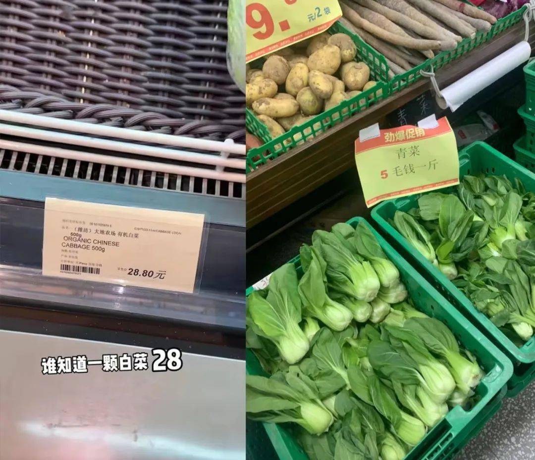 全网被嘲的“沪币”<strong></p>
<p>中币网</strong>，到底有多贵？