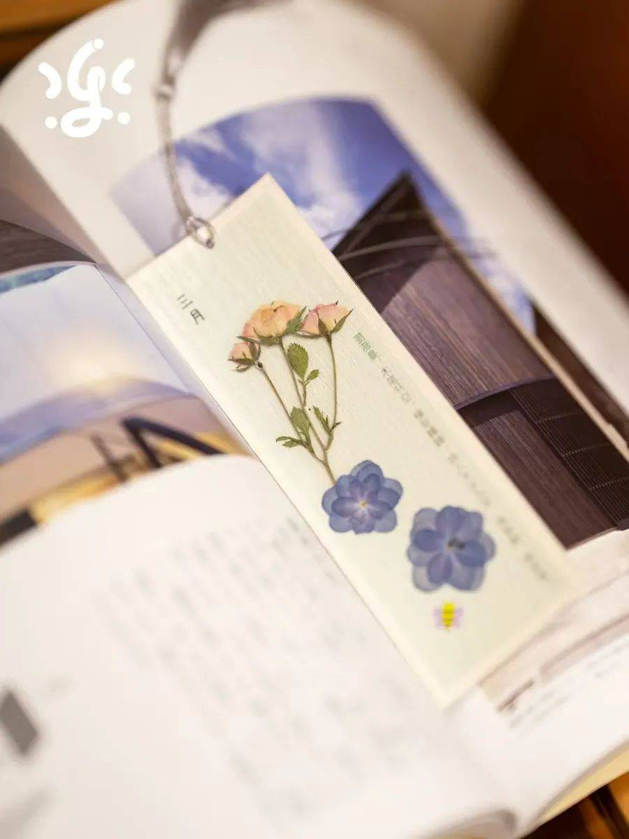 愿许秋风知我意<strong></p>
<p>知币交易所</strong>，赐我十亿人民币！