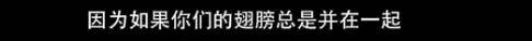 他们那么幸福恩爱<strong></p>
<p>币根交易所</strong>，怎么突然离婚了……