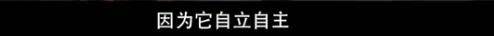 他们那么幸福恩爱<strong></p>
<p>币根交易所</strong>，怎么突然离婚了……