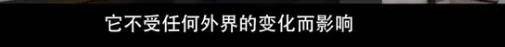 他们那么幸福恩爱<strong></p>
<p>币根交易所</strong>，怎么突然离婚了……