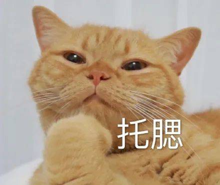 “我们还是分了吧”！深圳一场馆内<strong></p>
<p>币夫交易所排第几</strong>，这段对话惹笑众人