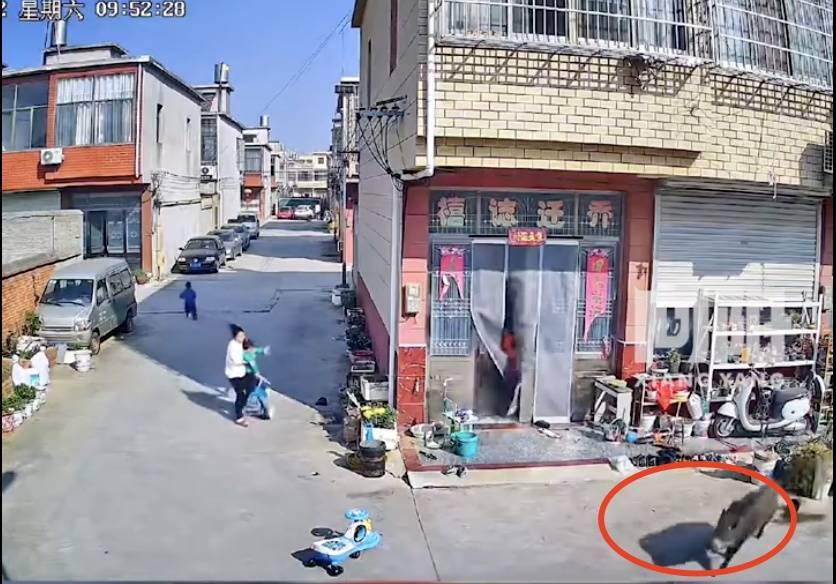 不是上海<strong></p>
<p>币和网交易所</strong>！不是上海！不是上海！最新：已被特警击毙