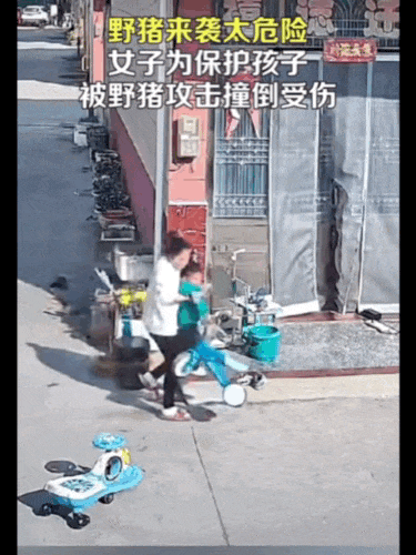不是上海<strong></p>
<p>币和网交易所</strong>！不是上海！不是上海！最新：已被特警击毙