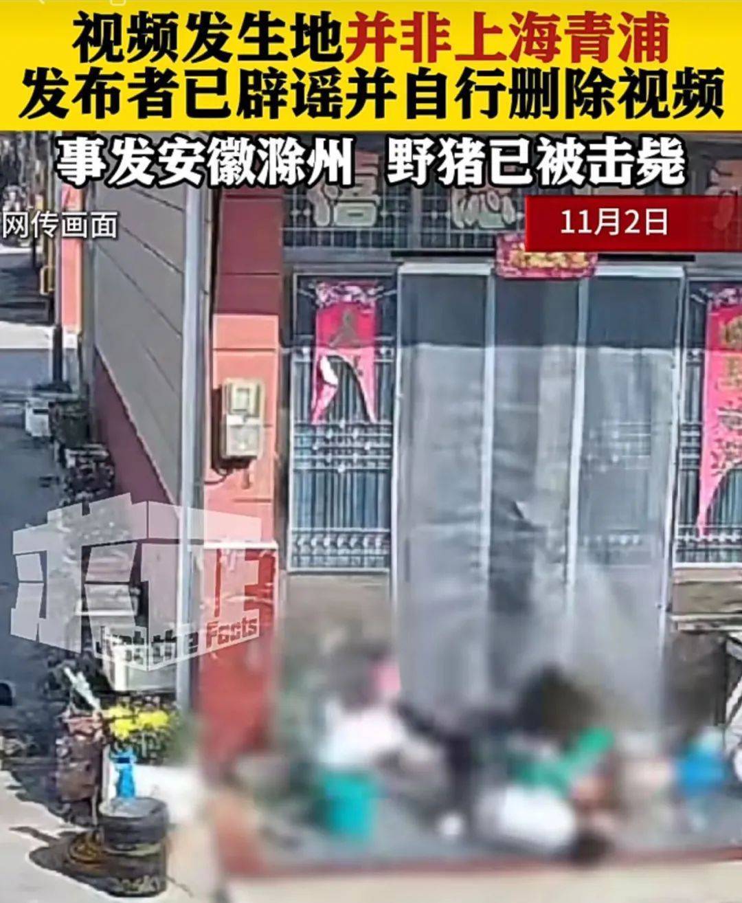 不是上海<strong></p>
<p>币和网交易所</strong>！不是上海！不是上海！最新：已被特警击毙