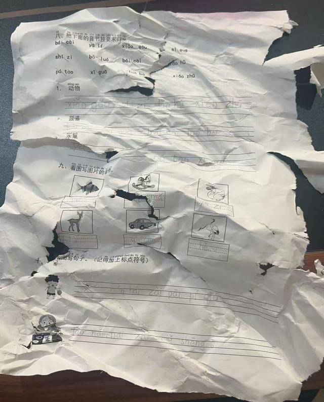 ​晚上回家发现语文作业被扫地机器人“吃”了<strong></p>
<p>人气币交易所</strong>，杭州小学生陷入纠结
