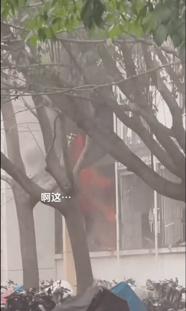 女生宿舍起火<strong></p>
<p>满币交易所</strong>，楼栋闸机成撤离“拦路虎”，警务室：刷脸是为保障安全