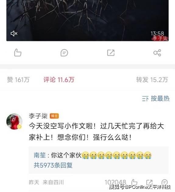 李子柒回归<strong></p>
<p>星联交易所</strong>，平替们天塌了？