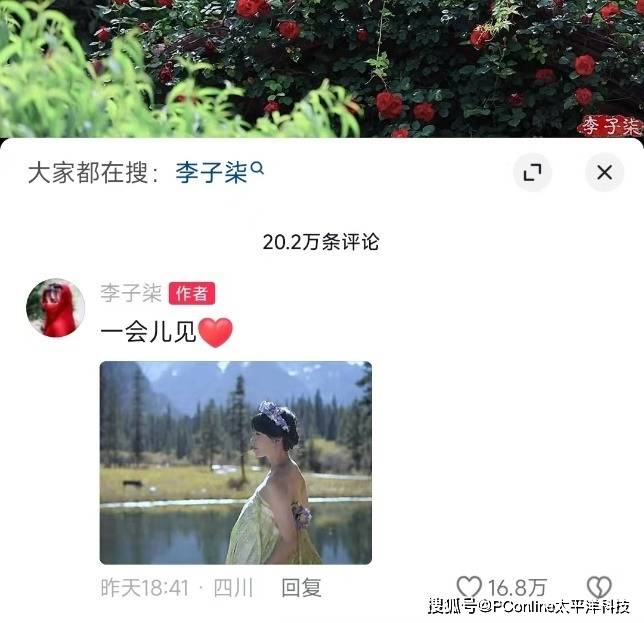 李子柒回归<strong></p>
<p>星联交易所</strong>，平替们天塌了？