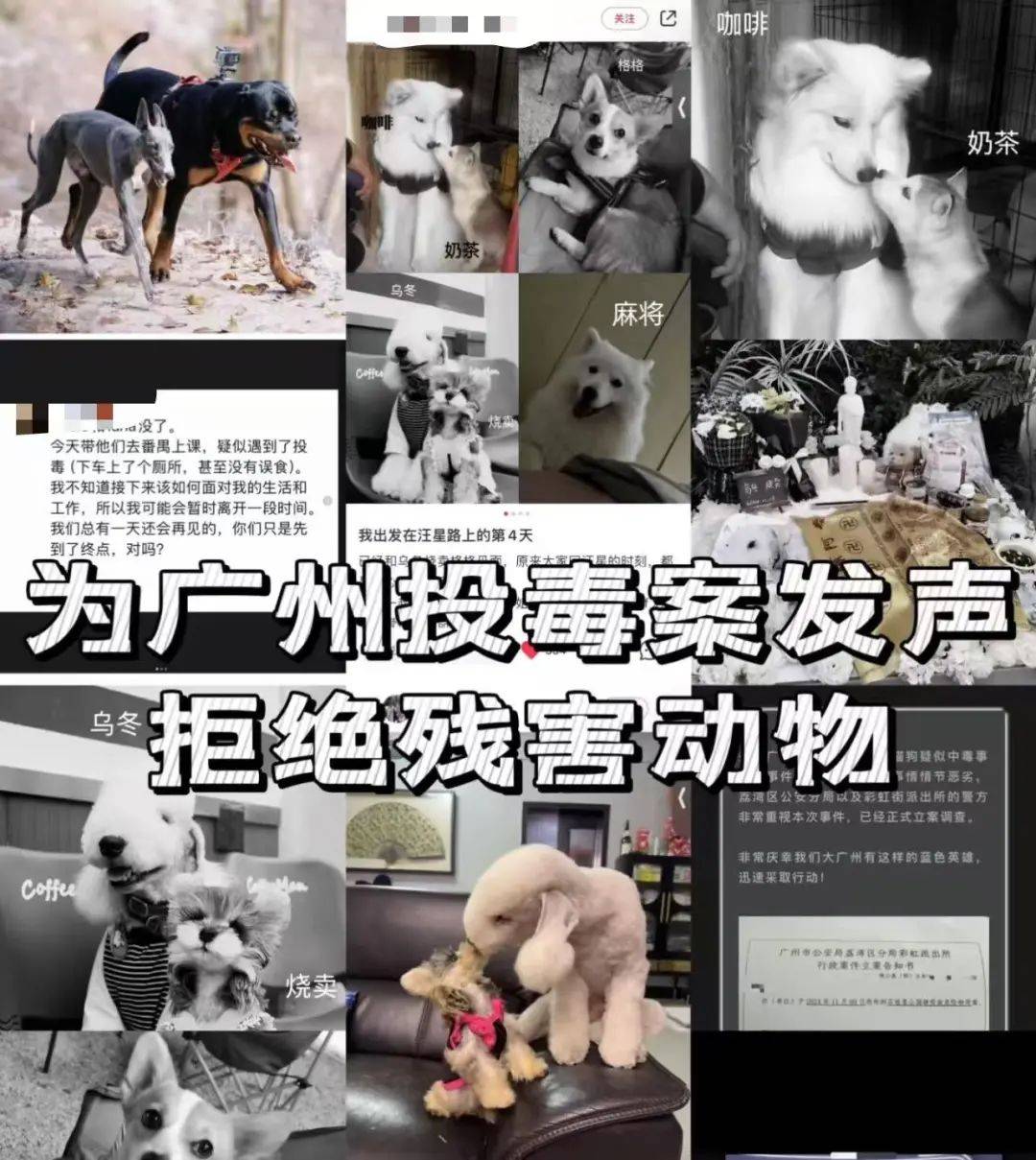 “死亡数据仍在上升”<strong></p>
<p>两个交易所币能互转吗</strong>！广州警方介入