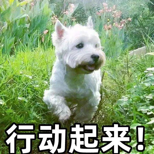 “不可思议！”行李箱遗落厦门出租车10天<strong></p>
<p>F8交易所</strong>，一条留言，5小时找回！