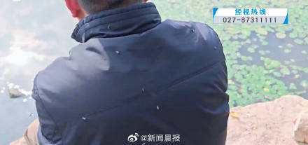 密密麻麻<strong></p>
<p>7号交易所</strong>！多得像“马赛克" 武汉一湖边漫天飞虫
