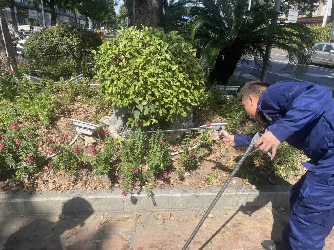 剧毒！广东一市民等红灯时<strong></p>
<p>pai币在哪个交易所上线</strong>，路边花基突然钻出一条眼镜王蛇