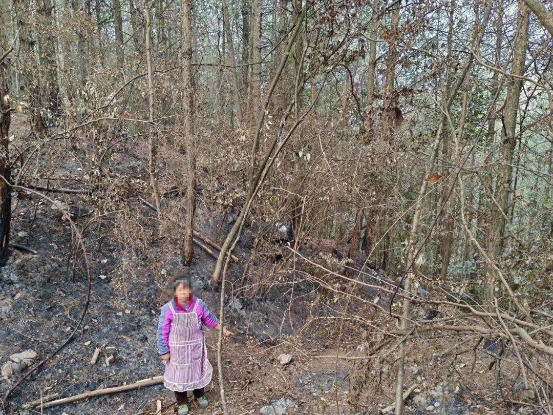 贵州一女子故意放火烧山被刑拘：心想救援队扑火后留下大量塑料瓶<strong></p>
<p>乐币交易所</strong>，可卖瓶子获利