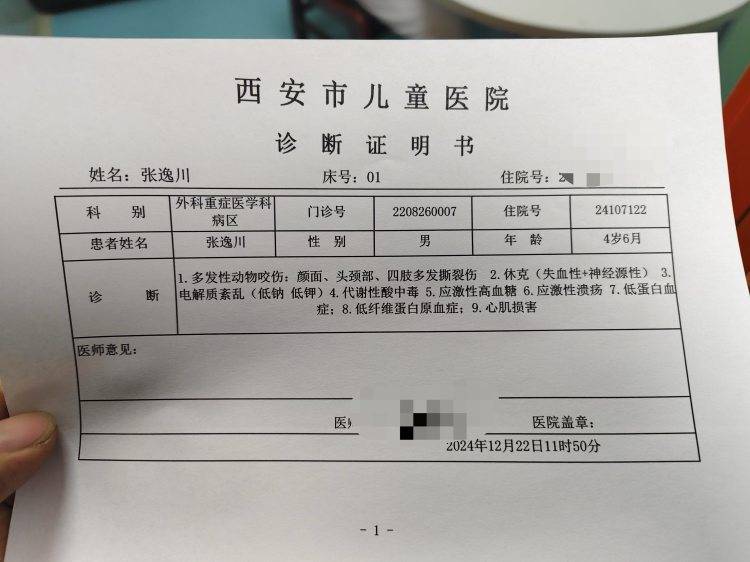 西安4岁男童遭两恶犬袭击重伤<strong></p>
<p>币成交易所网址</strong>，警方启用无人机搜寻现场