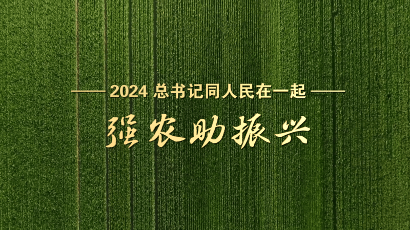 2024<strong></p>
<p>交易所债券市场的品种</strong>，总书记同人民在一起｜强农助振兴