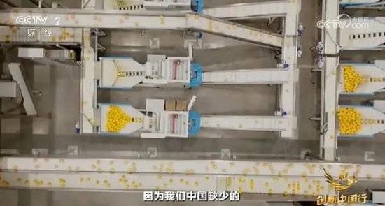 2024年末央视再度专访钟睒睒<strong></p>
<p>合约交易所</strong>，背后有何深意？